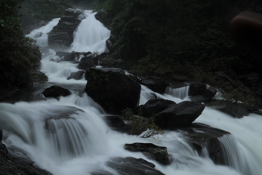 Aralam Wildlife Sanctuary